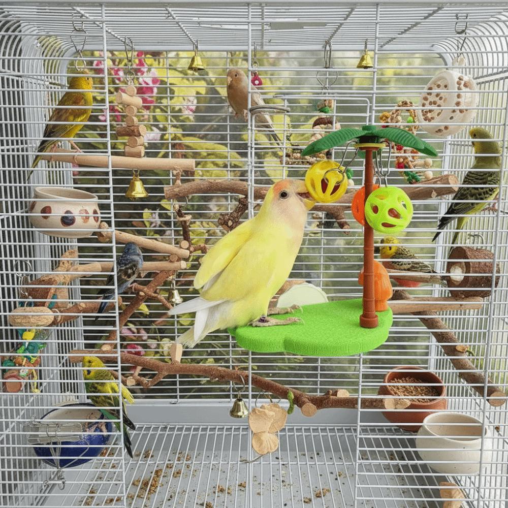 Detachable Bird Perch Stand Coconut-shaped Parrot Play Stands Perches on Platforms