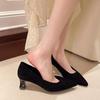 High Heels Women's New Spring and Autumn Pointed Head Fashion Simple Thin Heels Single Shoes Temperament Large Size Shoes Women