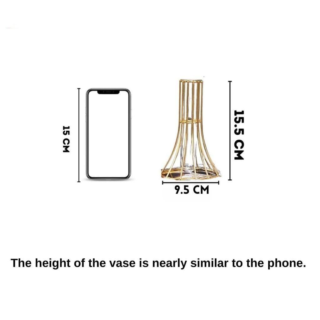 1 шт. Металлическая ваза для домашнего декора, гостиной, спальни, офиса, центральный элемент стола | Станция для размножения с металлическим каркасом, пробирками, стеклянными изделиями