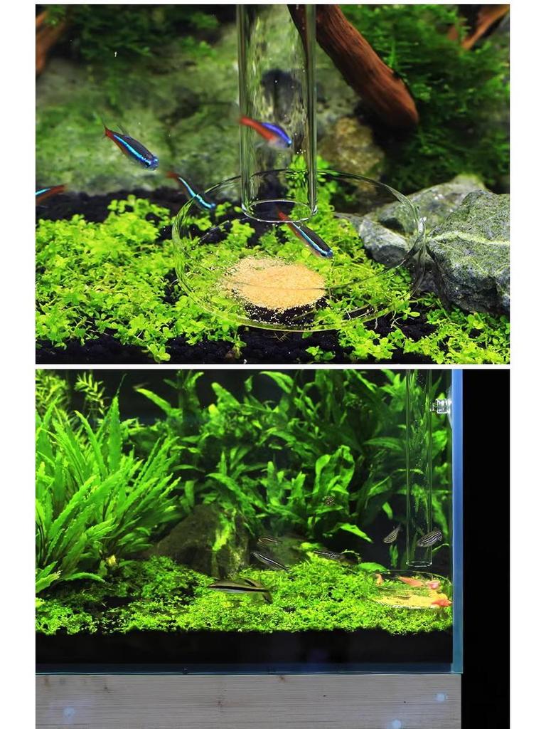 Стеклянная трубка-кормушка для рыб с высокой прозрачностью: Точное кормление креветок и мелких рыб, предотвращает разбрасывание корма.