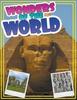 Книга Wonders of the World (Did You Know)