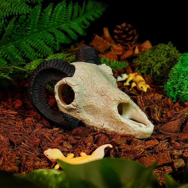 Dinosaur Skull Hiding House: Pet Cattle and Sheep Landscape Skeleton Fish Tank Decoration