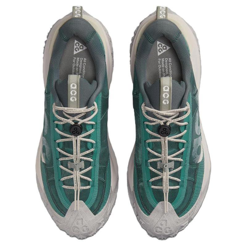 Nike Кроссовки ACG Mountain Fly Low "Bicoastal" Повседневная обувь DV7903-300