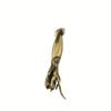 1PC Brass Squid Cuttlefish Mini Decorative Figurines Cute Marine Animals Desk Decoration Craft Collection Souvenirs Home Decor