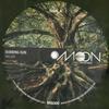 10-дюймовая пластинка DUBBING SUN - Hail Jah / Evilman MS060 Moonshine 2021 UK Reggae, Ska & Dub