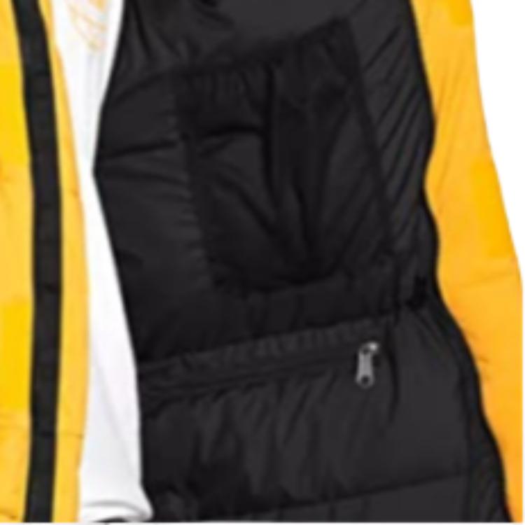 THE NORTH FACE 1994 Down Jacket Winter Men's Yellow NF0A7T43-56P