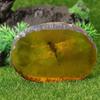 Home Crafts Decor Collection Chinese Beautiful Amber Dragonfly Exquisite Manual Insects Polishing Gift Fossil Z2K1
