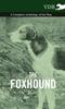 Книга The Foxhound A Complete Anthology Of The Dog by Various - Hardback