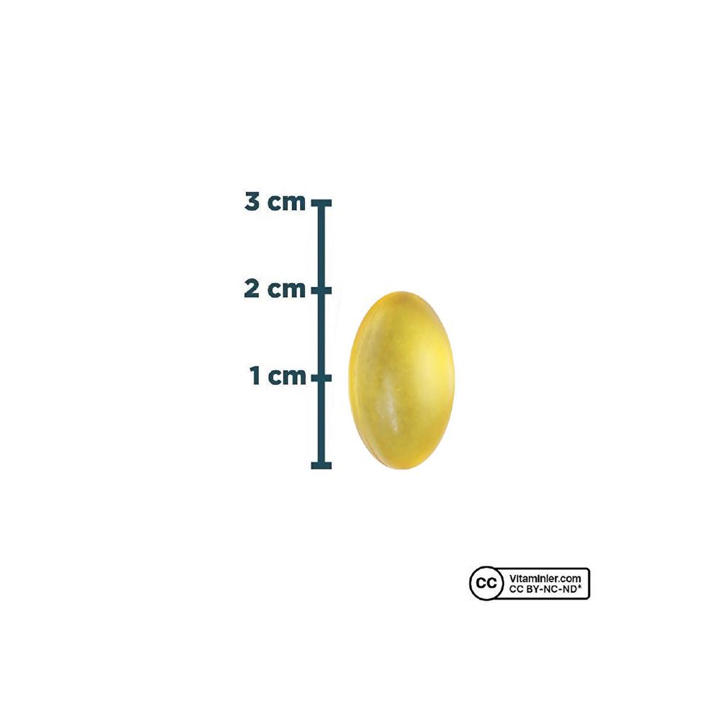 Omega 3 1000 Mg 60 Capsules - Without Aroma