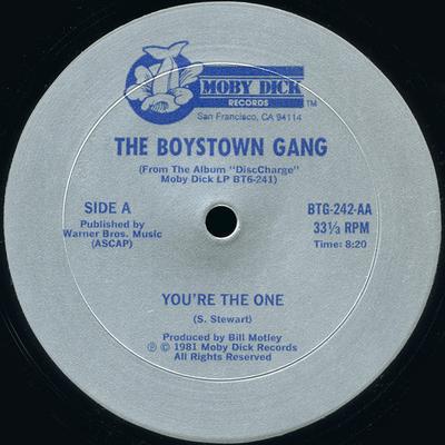 12-дюймовая пластинка BOYS TOWN GANG - Ты та самая / Диско-удары BTG242AA Moby Dick Recor 1981 США Танцевальная и электронная Б/У