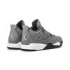 Jordan 4 Retro Cool Grey 2019 PS BQ7669-007