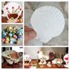 Bulk 20Pieces White Seashells for Painting Baking and Wedding Decors Large 6-8cm Scalloped Shells Crafting Supplies