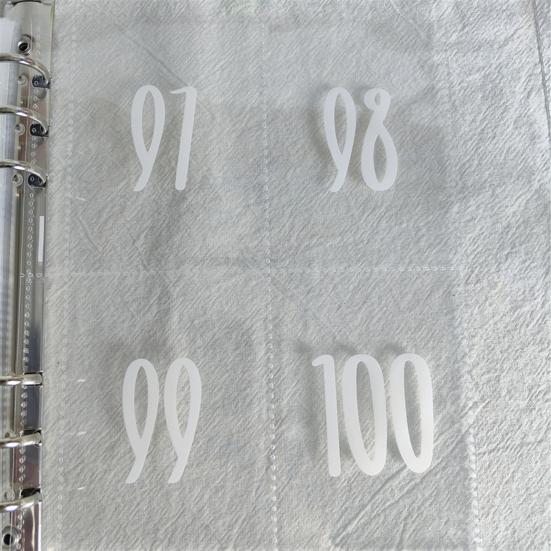 25 листов, 100 конвертов. Задача экономии денег. Сменные вкладыши для переплета. Простой и забавный способ сэкономить деньги. Предварительно маркированные мешочки для денег на 1–100 штук.