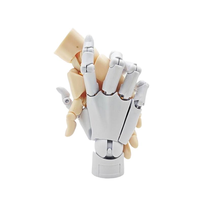 Подвижный сустав Палец Гашапон 1/2 Модель руки 1:1 Искусство живописи ладонью Миниатюрная модель Справочный инструмент Рука Настольное украшение