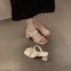 Fashion Versatile Open-toed Mid-heeled Sandals Women's Shoes 2025 New Summer Wear French Style with Skirt Cool Slippers
