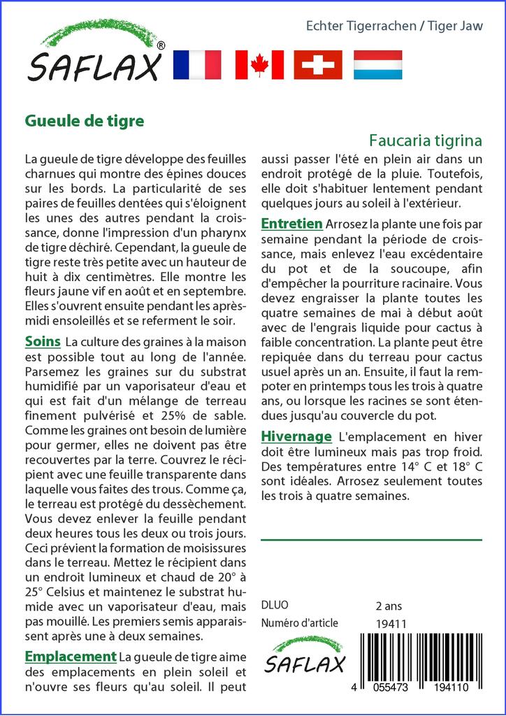 SAFLAX Tiger Jaw - 40 семян - Faucaria tigrina