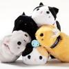 Practical Cute Plush Pencil Case Cat Shape Stationery Holder High Quality Student Practical Office Tool Storage Bag