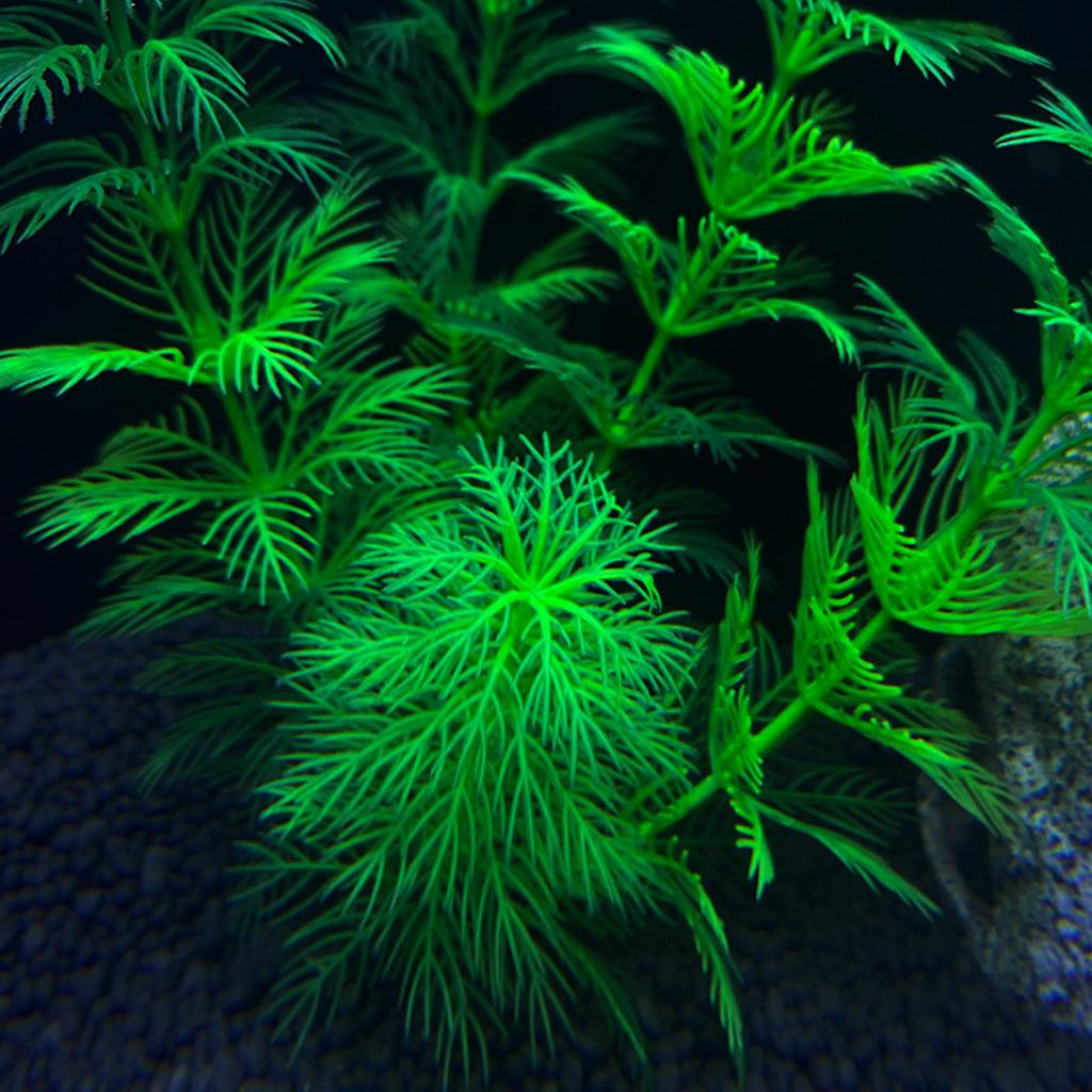 Aquariums Landscape Grass Plastic Aquariums Decorations Art Crafts Terrarium Habitat Ornaments Photo Props