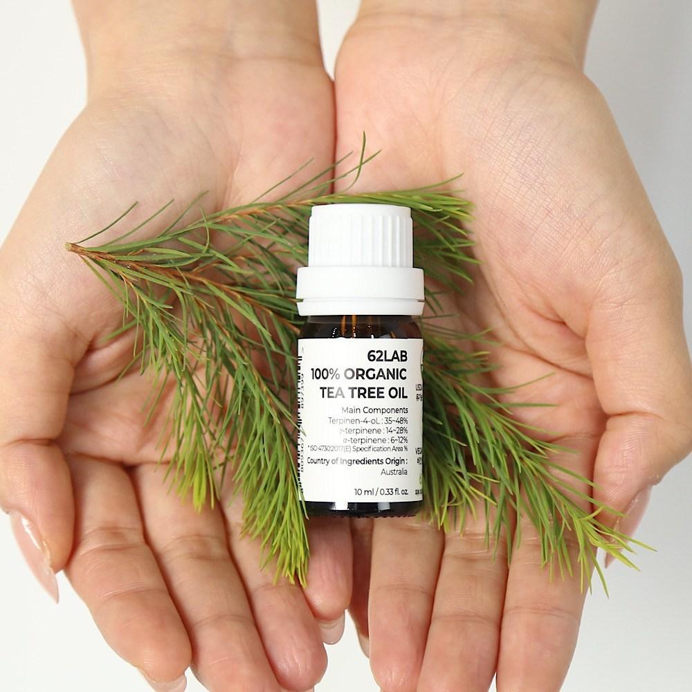 62 Labs Органическое масло чайного дерева USDA, веганское, для проблемных зон с акне, успокаивающий уход, 10 мл, 2 штуки