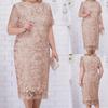 Women's Casual Fashion Lace Embroidery Patchwork Medium Length Dress