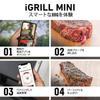 Weber iGrill Mini 7206 Умное устройство для грилей Термометр - (2-летняя гарантия, Красный)