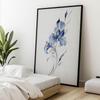 Subtelność Niebieskiego Irysa Subtelność Niebieskiego Irysa, 40X50 Cm, Rama Aluminiowa Czarna, Papier Matowy 230 Gsm