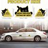 3pcs New Driver Sticker Magnetic Black Cat Automotive Decal Auto Body Decals Beginner Student Driving Tips Sticker