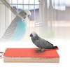 Frosted Birds Accessoires Bird Paw Grinding Board Parrot Station Board Parrot Perch Bird Platform