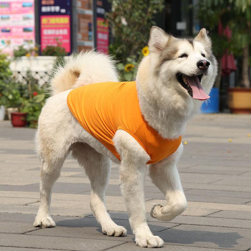 Teddy Than the Bear Cat Small Medium and Large Dog Dog Spring and Summer New Pet Clothes Vest Dog Supplies Cat Bipod