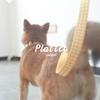 PLATTCO Уникальный нейлоновый поводок и ошейник для собак с имитацией PDC307