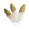 Gold-tipped Feathers 4x19 Cm 10 Pieces