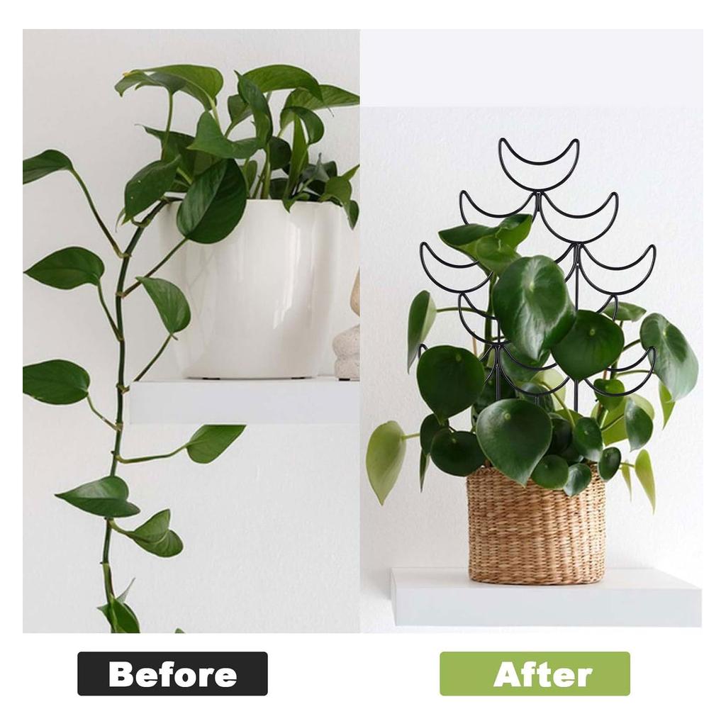 Metal Indoor Plant Trellis for Climbing Plant Small Garden Trellis for Potted Plant Outdoor Flower Plant Support