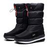 Women Snow Boots Platform Winter Boots Thick Plush Waterproof Non-slip Boots Fashion Women Winter Shoes Warm Fur Botas