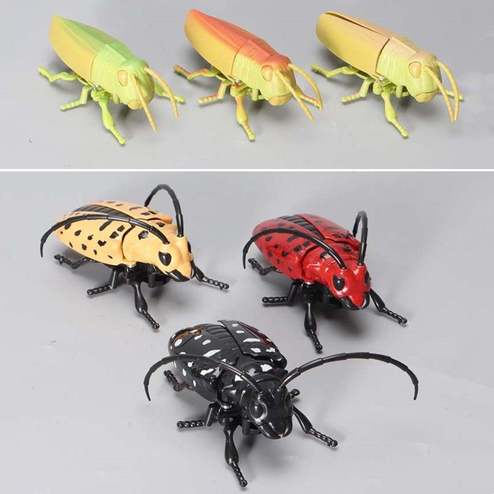 Simulation Chain Winding Insect Toys Plastic Animals Wind Up Insect Insect Model Toy Party Gifts