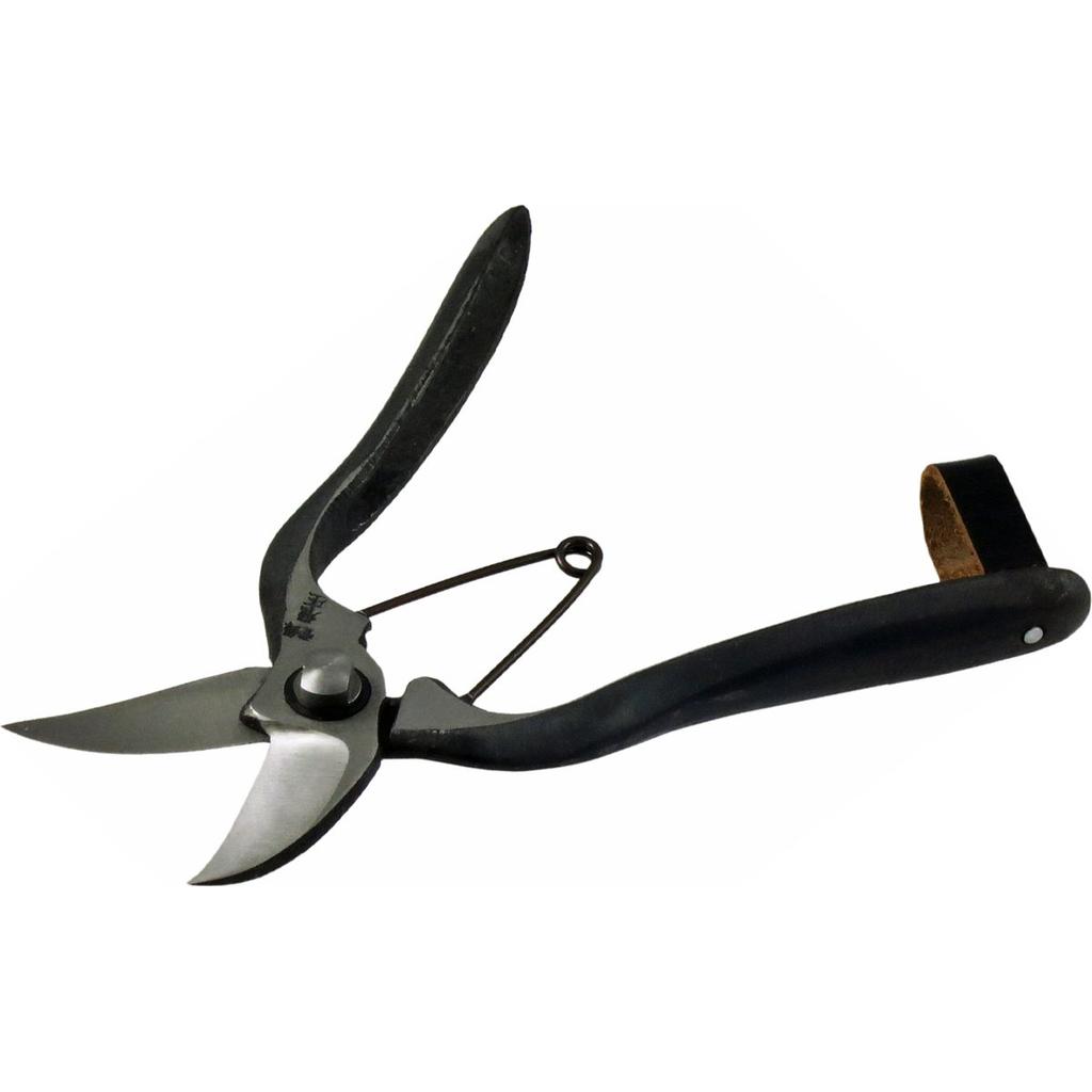 Hiizuka Scissors Hijo Pumpkin Cutting Scissors 200mm