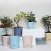 Кашпо для суккулентов Воздухопроницаемый цветочный горшок Съемное дно Абсорбирующий цветочный горшок Новый цветочный горшок