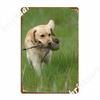 Hunting Labrador Metal Sign Plaques Pub Garage Classic Pub Tin Sign Poster