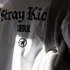 Предзаказ Футболка SKZOO Every Where All Around the World in SEOUL версия Seoul