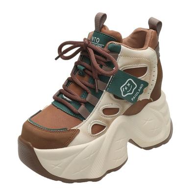 Модные Новые Женские Осенние Весенние Массивные Кроссовки На Шнуровке Платформа Спортивная Обувь Женская Толстая Подошва Высокий Каблук Женские 10СМ Кроссовки на Танкетке