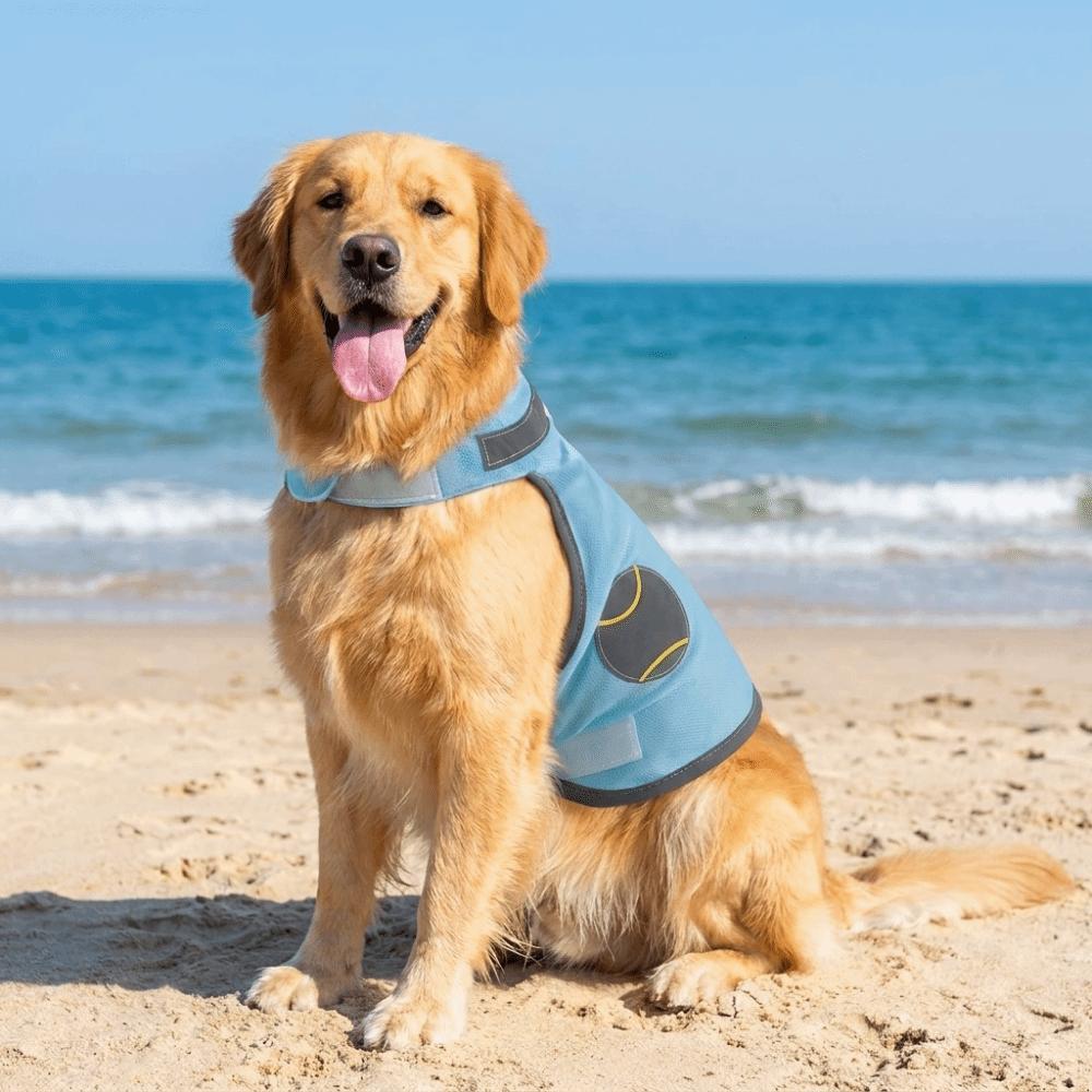 Breathable Mesh Pet Cooling Shirt Quick Dry Summer Dog T-shirt Dog Cooling Vest Night Walking