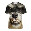 Футболки с 3D-принтом щенка шнауцера, летние мужские футболки с коротким рукавом и круглым вырезом, повседневные топы оверсайз, уличная одежда