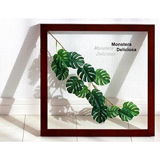 Leaf panel made Japan handmade Monstera Deliciosa 3 includes decorative instruction manual painting interior wall-mounted framed art living room gift