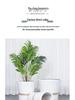 Large Ceramic Flower Pot with Tray for Indoors/Outdoors, Suitable for Succulents & Green Plants