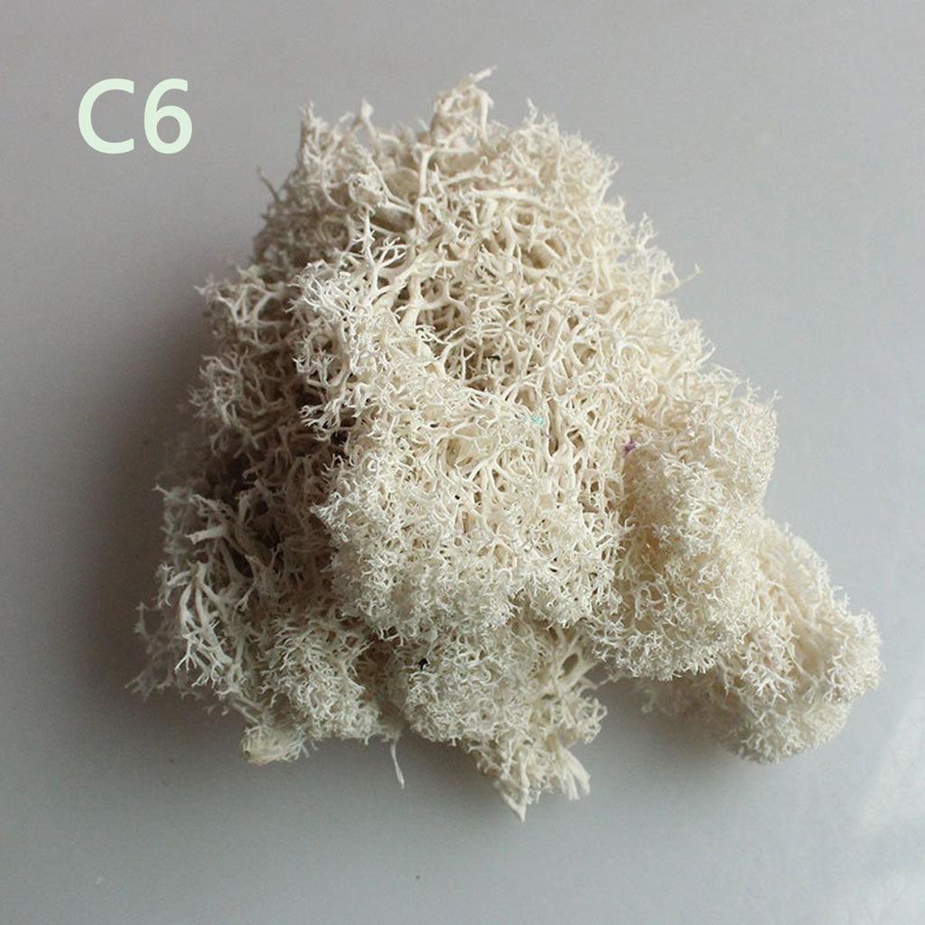 Украшение Рождественский цветок Искусственное растение Мох олений Вечный мох Микроландшафт