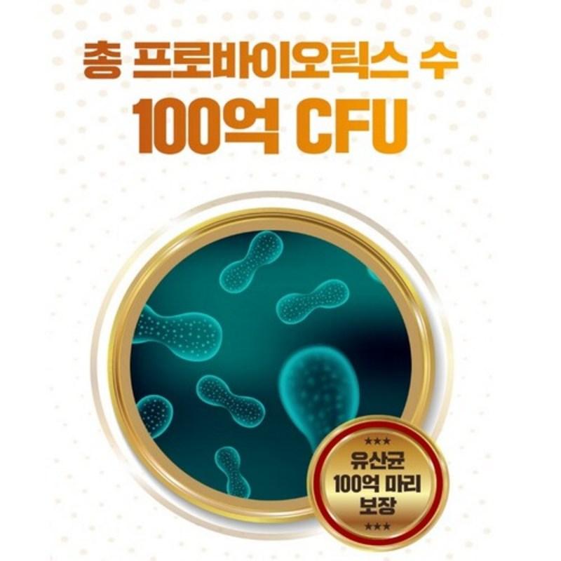 Probiotics 17 types of mixed lactic acid bacteria including Lactobacillus rhamnosus Fermentum bulgaricus Elderly Senior 60 capsules x 3, tablets, 3