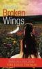 Книга Mending Broken Wings : Based On a True Story