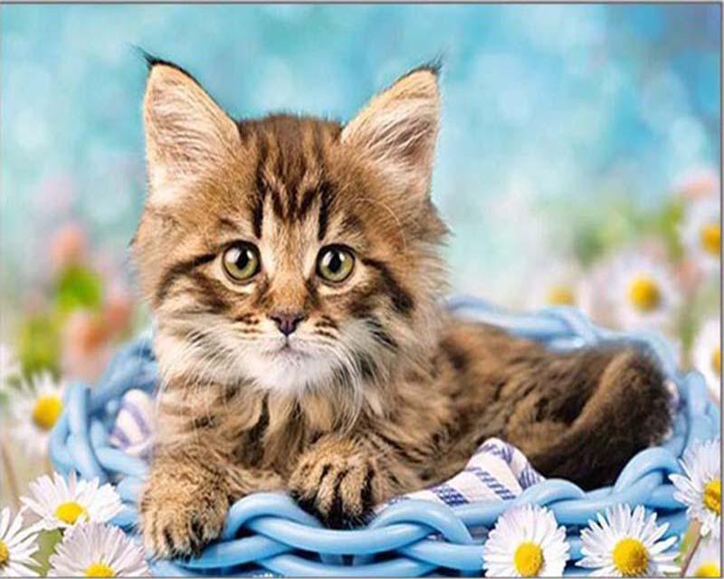 Алмазная картина Проточная вода Деревенский пейзаж Весна 5D Алмазная вышивка Крестиком Собака Животные Фотографии Стразы Мозаика Распродажа Wall Art