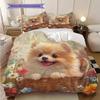 Pomeranian Pattern Bedding Quilt Set Quilt Cover Pillowcase Home Decoration Birthday Gift (1 * duvet cover + 2 * pillowcase, without core)