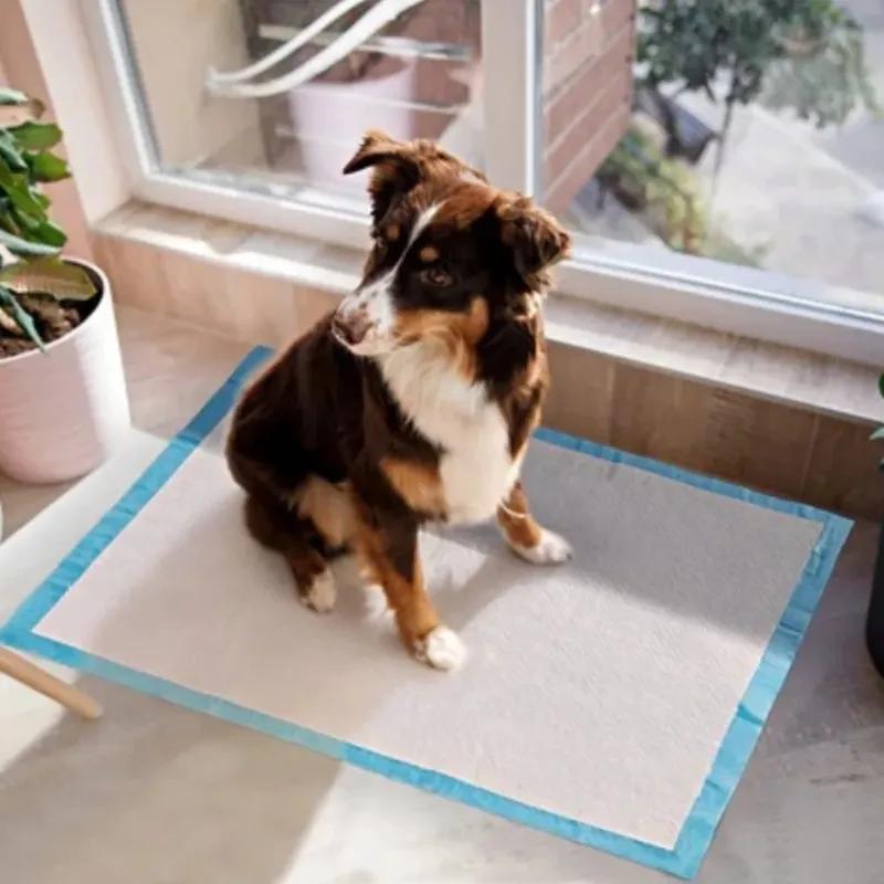 100pc Portable Super Absorbent Pet Diaper Non Woven Fabric Dog Training Pee Pads Disposable Nappy Mat Practical Cat Dog Supplies