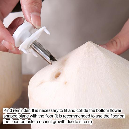 3 шт. Дырокол для кокосовых орехов Компактный прочный из нержавеющей стали Легко хранить Простое управление Многоразовый открывалка для кокосов